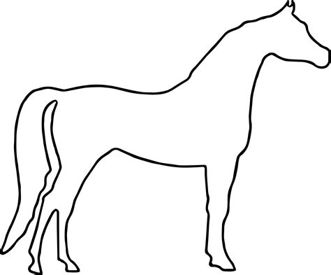 Horse outline